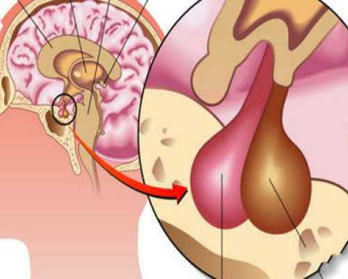 上海一代试管可以选择龙凤 2026上海集爱医院试管婴儿成功率： ‘四维哪个数值