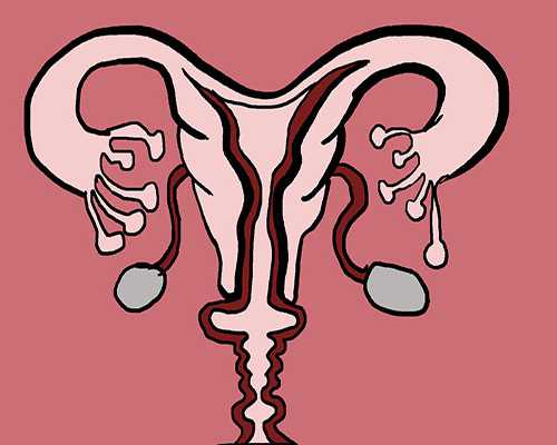 邵阳哪个医院做试管婴儿好 2026年邵阳中心医院做试管婴儿生双胞胎的几率大吗