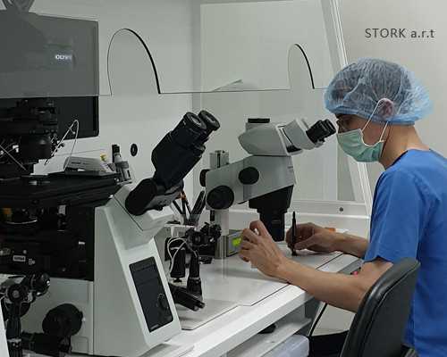 高级育儿师怎么考_备孕女性需要戒烟,卵泡发育不好如何备孕？4个妙招助你好孕