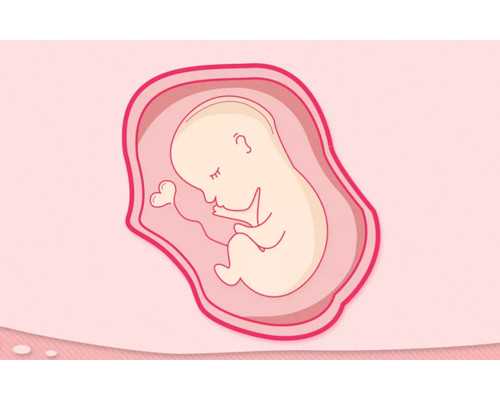 台州试管机构有哪些,台州试管婴儿费用构成?