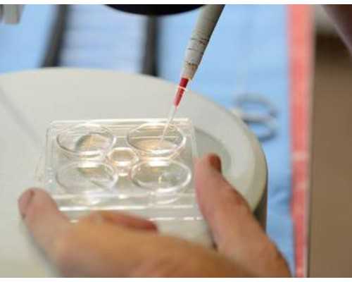 备孕注意事项_育儿知识大全幼儿园,【男人一次正常多少分钟】备孕期间多少天