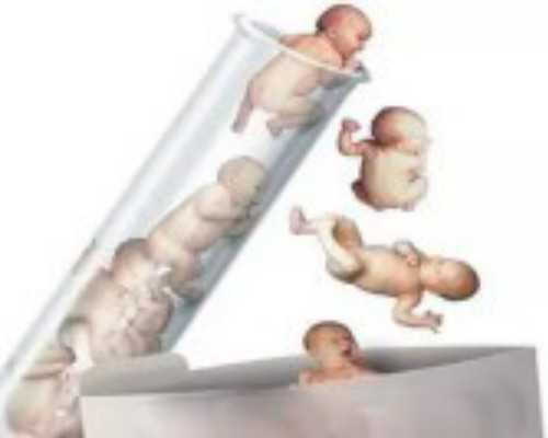 2026云南试管婴儿试管费用最新公布，附试管婴儿试管怀孕步骤祥解
						