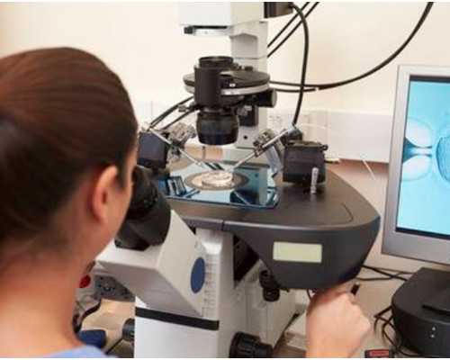 备孕吃什么促排卵_备孕最忌讳的食物,试管前必须查性激素六项吗？做试管婴儿