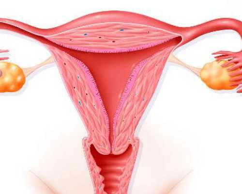 试管代怀产子，试管婴儿技术成熟吗，国内的试管婴儿技术成熟吗