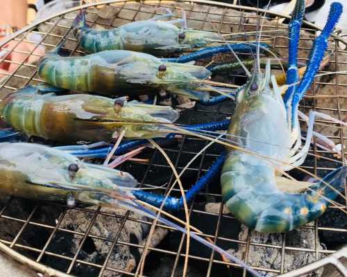 湖北供卵试管的中介,湖北借卵试管医院推荐