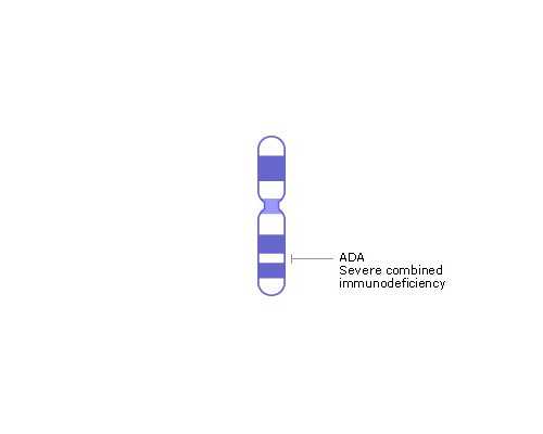 代生供卵平台,「广西三大助孕公司」桂林助孕机构骗局