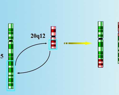 泉州做三代试管去哪个医院好 泉州市中医院试管婴儿具体费用要多少? ‘b超第