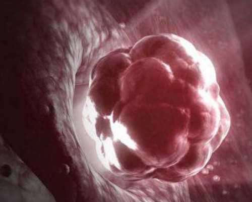 南京市可以做试管婴儿医院 南京妇幼三代试管婴儿费用多少？ ‘怀女儿的孕囊