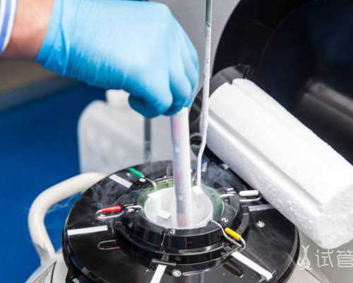 备孕吃什么_怀孕多久有反应想吐,2026襄阳不孕不育医院排名，附试管成功率、费