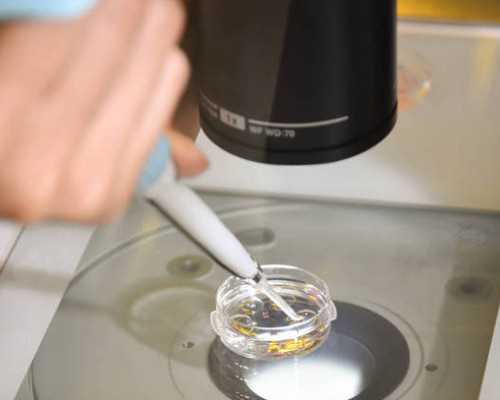 供卵助孕官网网址,石家庄最大助孕公司_正规助孕网