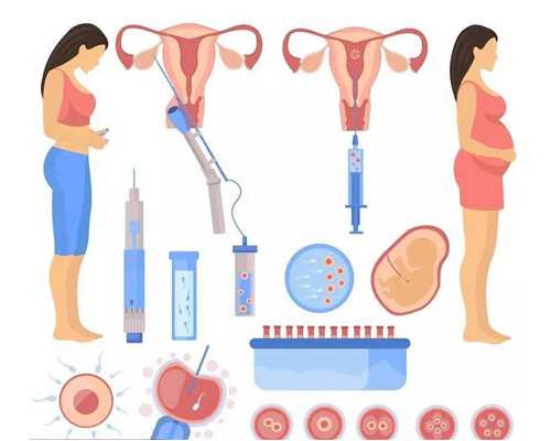 供卵代生宝宝中介,石家庄专业助孕价格-试管助孕机构