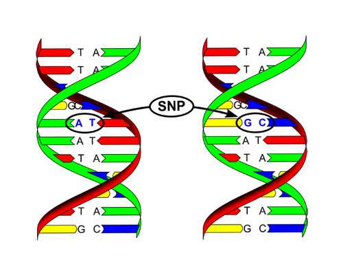 深圳哪家医院做试管婴儿成功率最高 在深圳做试管婴儿一般怎么节约花费? ‘怀