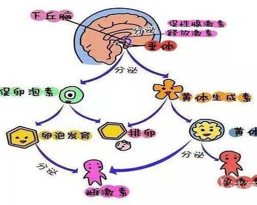 三代试管移植_试管包男孩,蚌埠三代试管,三代试管先天白血病
