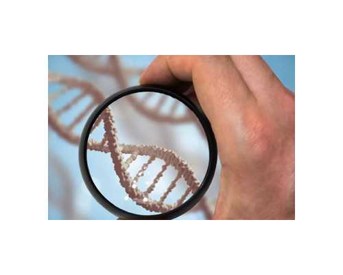 育儿嫂一天工作流程_怀孕几天能测出来吗,孕期三项检查，不可轻视落下