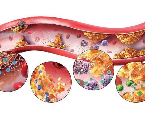 【2026公立试管医院】：莆田三代试管费用总共多少？