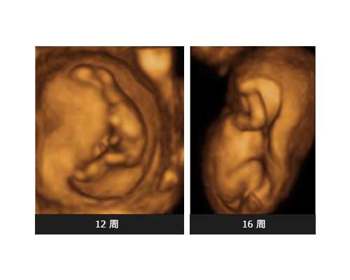 广东呵护女性健康知识内容