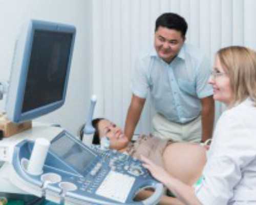 供卵试管费用大概多少,石家庄助孕公司