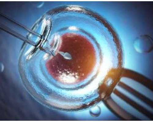 供卵助孕包成功地址,石家庄专业助孕价格_正规助孕公司