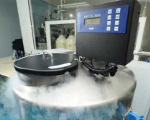 上海供卵试管靠谱吗 上海一院供精试管婴儿的条件 ‘两次b超都是女孩第三次男