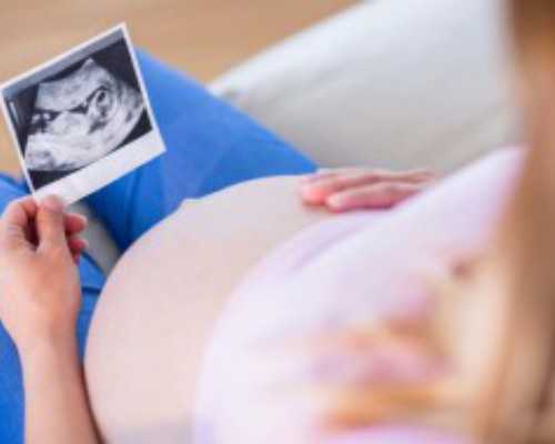 供卵助孕服务站电话,合肥助孕机构_正规试管助孕机构