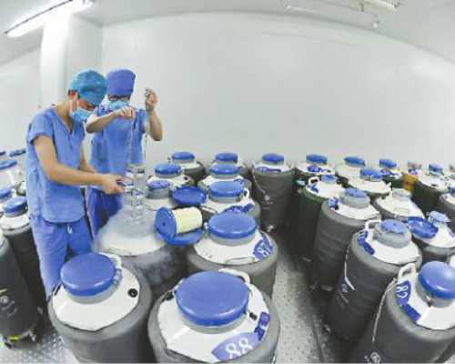 泰国供卵代怀排名_三代供卵代怀费用,在大理做供卵代怀(大理做供卵代怀医院排