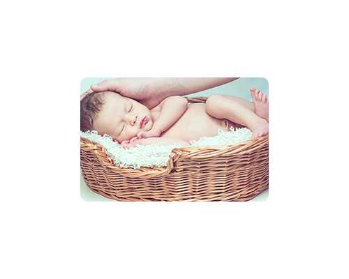 怀孕母猫注意什么_育儿知识分享简短的,关注孕期各月胎儿发育特征