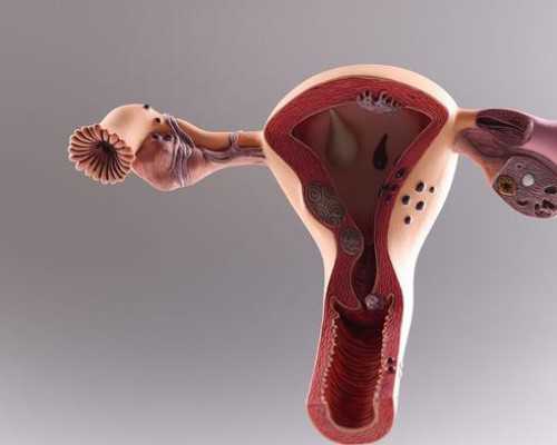 三门峡试管婴儿（灰医*三代试管）