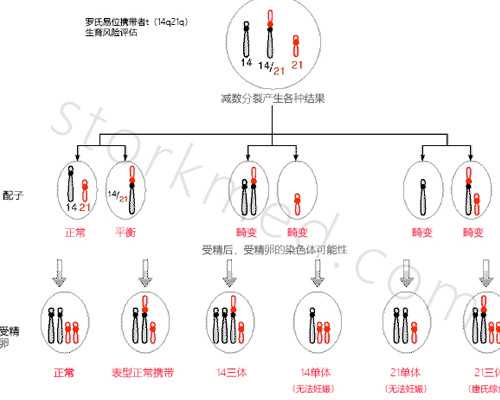 南通试管婴儿费用大约多少 2026年南通哪个医院生殖中心做试管成功率高？ ‘酒