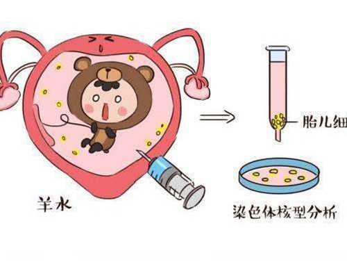 哪个供卵试管机构好点,石家庄助孕机构_正规助孕平台