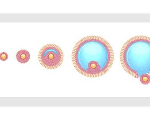 四川公益捐卵 2026四川三代试管婴儿医院排名，附三代试管生男孩费用成功率