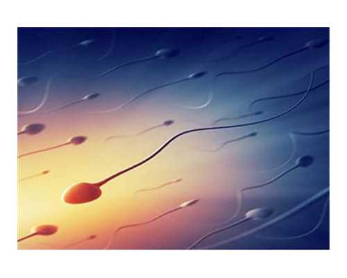 王爷养成计划c性格攻略的秘诀是什么？