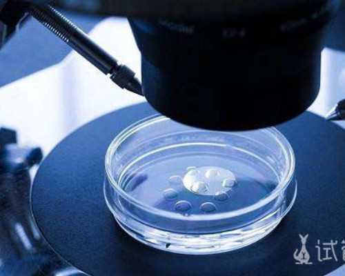 青岛谁要供卵试管 2026年青岛市立医院试管婴儿多少钱？ ‘香港验血报告是女孩