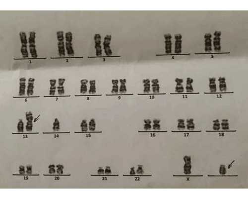 山东省中医院 试管 山东济南大学生殖附属医院做试管成功率怎么样？ ‘早孕