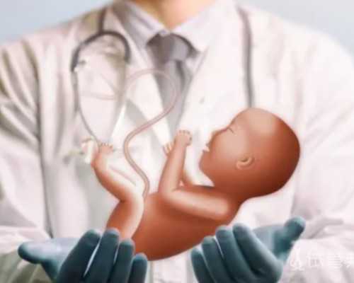 代孕供卵,石家庄助孕qq群-正规助孕中介