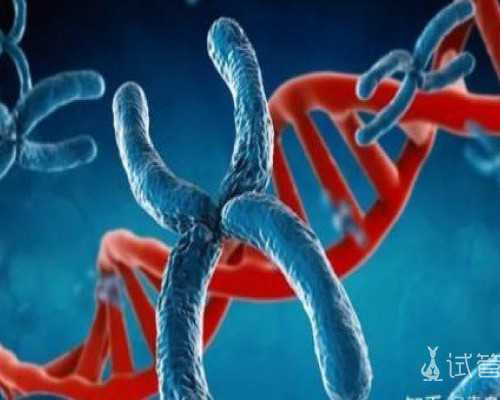 没有结婚济南那个医院能做试管婴儿吗 济南试管婴儿医院排名好? ‘怀孕4个月