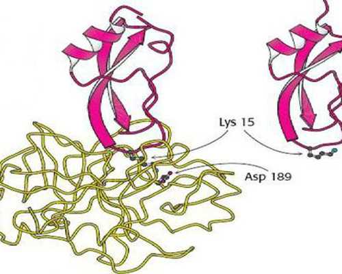 供卵代孕试管医院,哈尔滨试管助孕公司_正规助孕中心