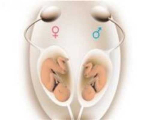 福州第三代试管三代试管吗(三代试管福州能做吗)