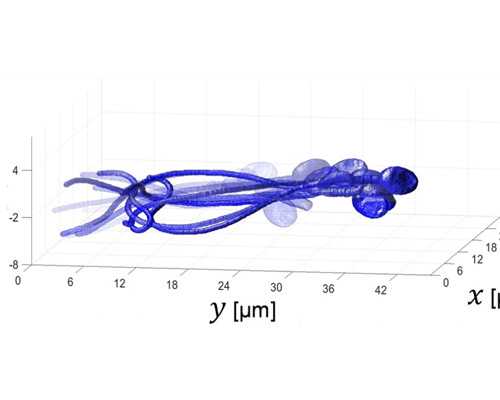 北京试管供卵机构有哪些 北京北医三院试管婴儿技术如何? ‘四维光环是男孩还