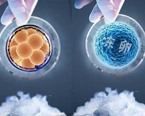 试管供卵试管多少钱,【广西助孕机构】钦州助孕骗子公司有哪家