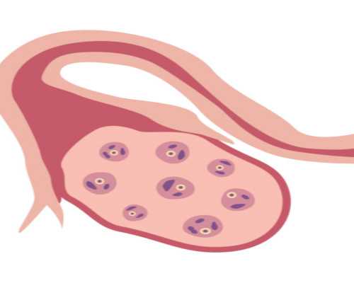 二胎备孕多久能怀上_育儿知识0到1岁,做试管婴儿助孕生男生女可以自己选择吗