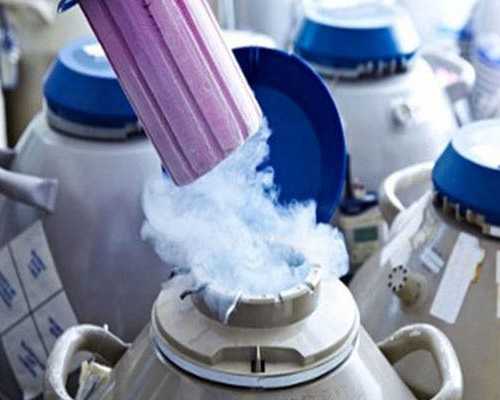 试管要不要做供卵试管,石家庄最大助孕公司_正规助孕网