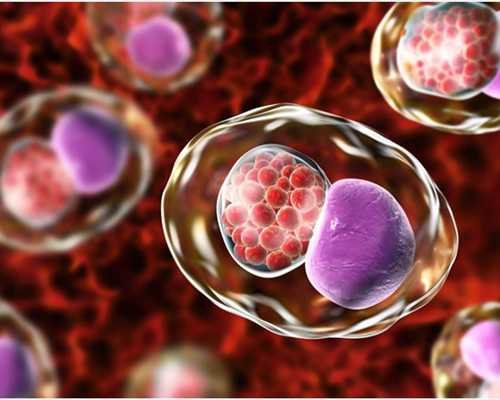 前两天做胸透对备孕有影响吗，有影响的话需要多久才能备孕？