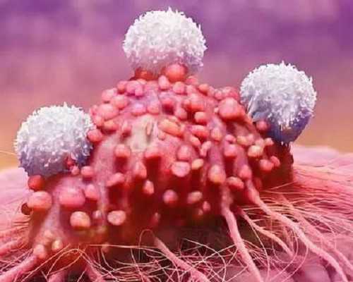 30天新生儿奶量标准和次数