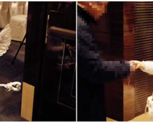 育儿知识经验交流_怀孕初期注意事项,孕期能吃木瓜吗