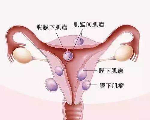 沧州二医院和妇幼那个做试管好 沧州人民医院试管婴儿医生评价 ‘怀孕四个月