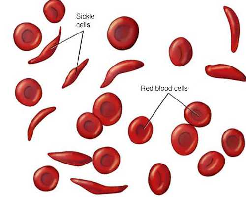 第三代试管婴儿佳选台湾茂盛医院 2026台湾那家试管婴儿医院做的比较好 ‘nt能