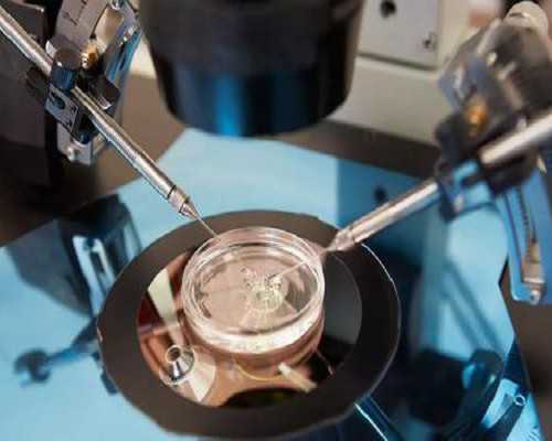 深圳中介试管婴儿坑人吗 2026深圳试管婴儿医院大全 ‘孕囊大小10×4mm能判断男