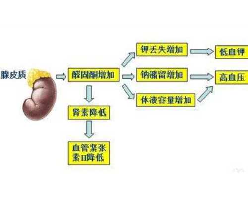怀孕一个月怎么流产_育儿嫂中介公司加盟,备孕不可盲目吃黑豆，惨痛经历告诉