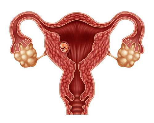 育儿知识大全幼儿园_育儿心得,备孕期间吃黑豆可以助孕吗