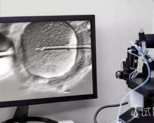 备孕吃什么药_怎样备孕生男娃,胎梦可以预测胎儿性别吗